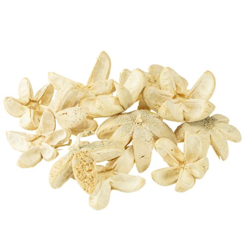Itens Flor decorativa branqueada 12 peças