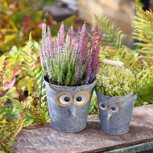 Floristik24 Vaso decorativo coruja balde zinco com alça Ø15/19cm conjunto de 2