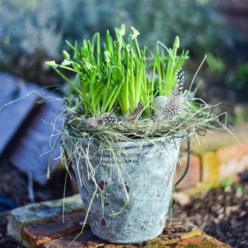 Balde decorativo, vaso de flores, balde de cerâmica aparência antiga Ø19,5cm H19cm