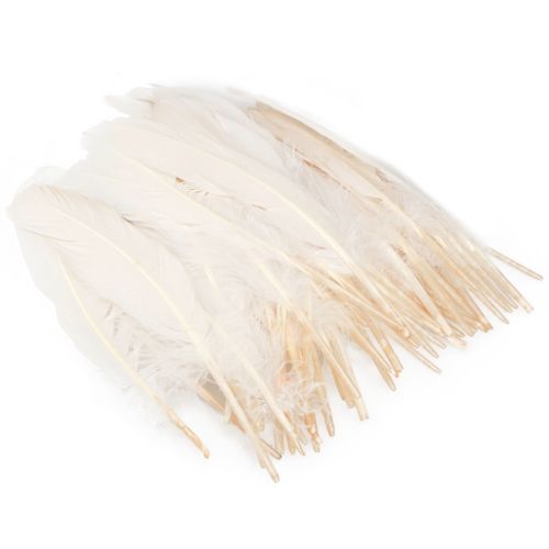 Itens Penas decorativas penas de pássaros reais champanhe 20g