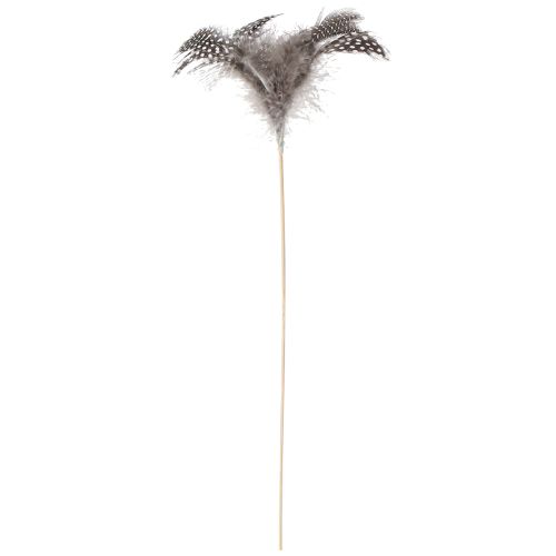Itens Penas Decorativas Pintada De Guiné Pontilhada Em Vara Natural L35cm 12 Unidades