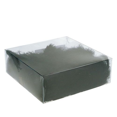 Floristik24 Penas curtas 30g pretas