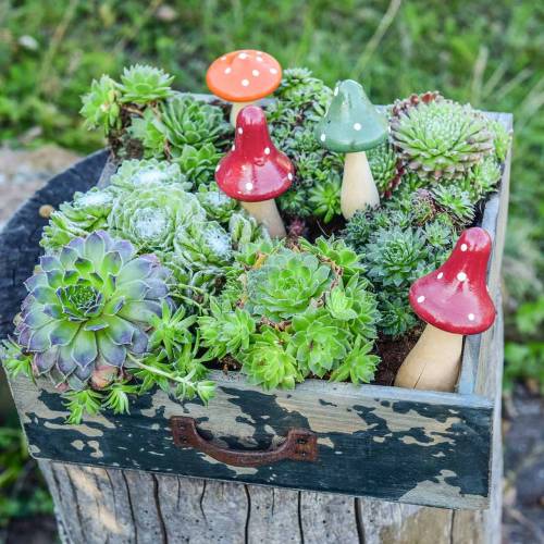 Floristik24 Conjunto decorativo de agárico com mosca laranja, verde, vermelho 10/12 / 14,8 cm