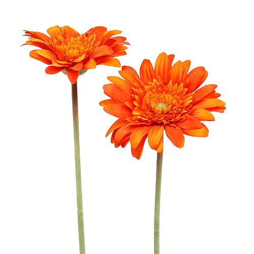 Deco gerbera laranja Ø10cm C53cm 6pcs