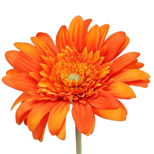 Floristik24 Deco gerbera laranja Ø10cm C53cm 6pcs