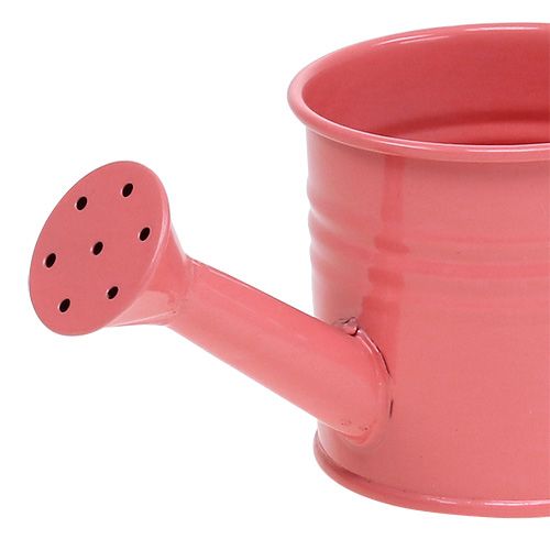 Floristik24 Burro pastel decorativo de regadores. Ø7.5cm H7.5cm 8pcs