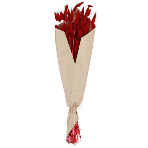 Floristik24 Grama Decorativa Lagurus Vermelho Flores Secas Grama Cauda de Coelho 50g