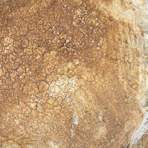 Itens Conjunto de 2 peças com 32 cm de altura, perfeito para decorar sua casa na primavera. Estatueta decorativa de coelho.