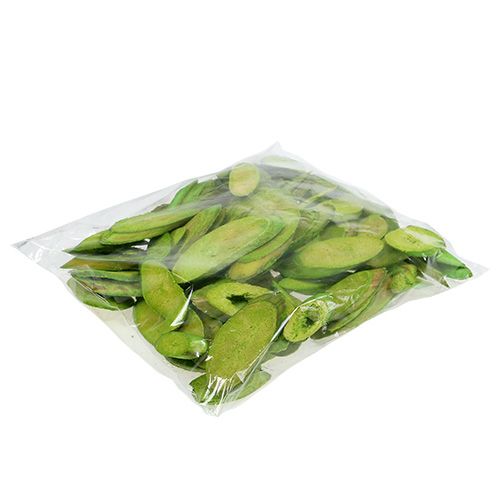 Floristik24 Discos decorativos de madeira verde primavera 300g