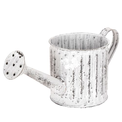 Regador decorativo, vaso para plantas, regador para plantio Ø10,5cm comprar | Floristik24.pt