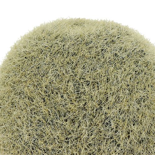 Floristik24 Kiwi decorativo 6cm 6pcs