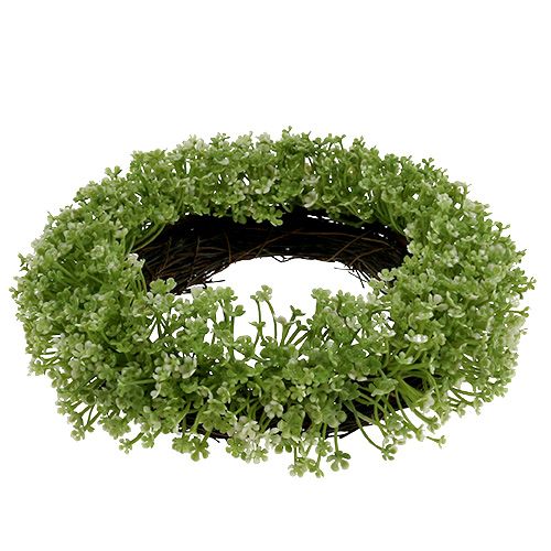 Floristik24 Coroa decorativa verde Ø25cm