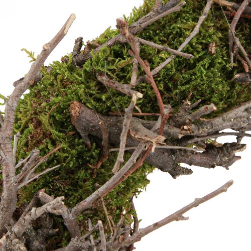 Itens Coroa decorativa de musgo com ramos de bonsai naturais Ø30cm