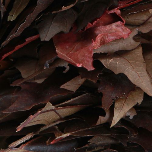 Itens Guirlanda decorativa para pendurar guirlanda de folhas de plátano natural Ø35cm