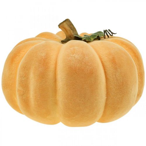 Floristik24 Abóbora decorativa flocada laranja claro decoração de outono Ø30cm