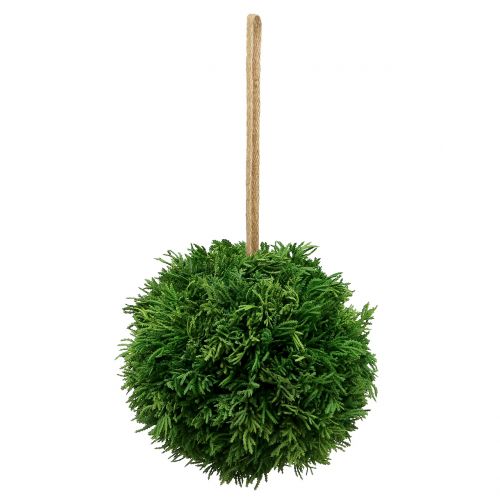 Floristik24 Bola de planta artificial para pendurar verde Ø20cm