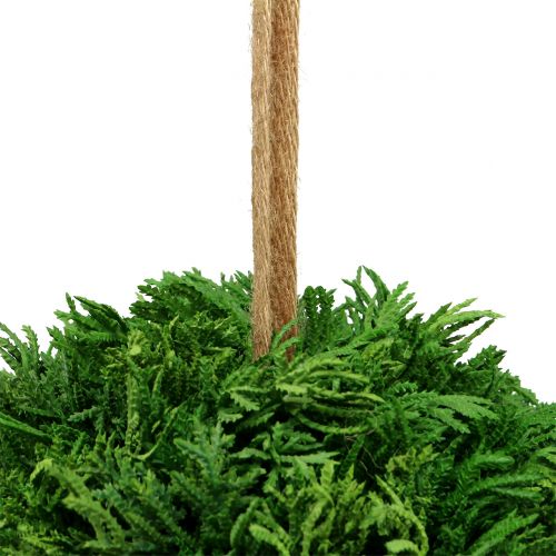 Floristik24 Bola de planta artificial para pendurar verde Ø20cm