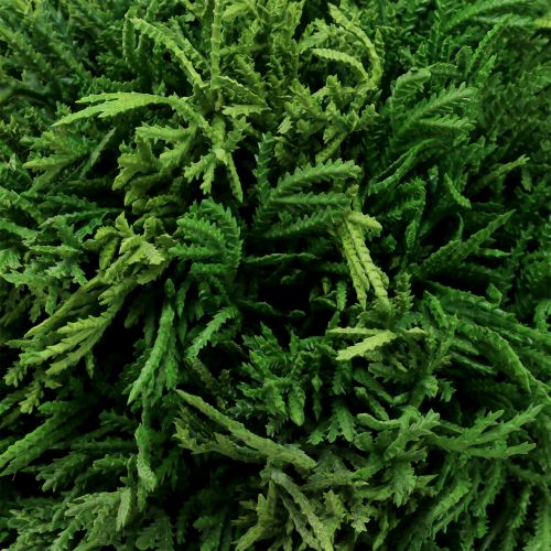 Floristik24 Bola de planta artificial para pendurar verde Ø20cm