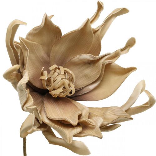 Floristik24 Deco flor de lótus artificial flor de lótus artificial bege L68cm