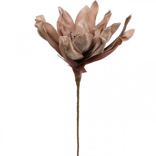 Floristik24 Deco flor de lótus artificial flor de lótus artificial flor marrom L68cm