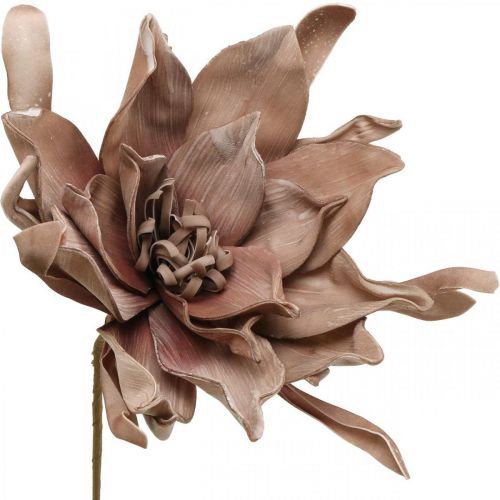 Floristik24 Deco flor de lótus artificial flor de lótus artificial flor marrom L68cm