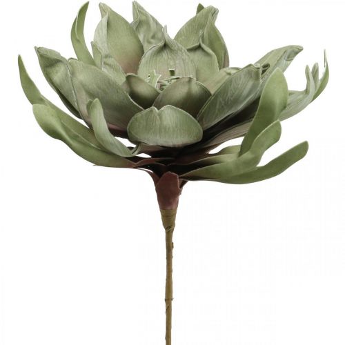 Floristik24 Deco flor de lótus artificial flor de lótus artificial flor verde L70cm