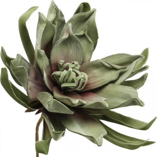 Deco flor de lótus artificial flor de lótus artificial flor verde L70cm
