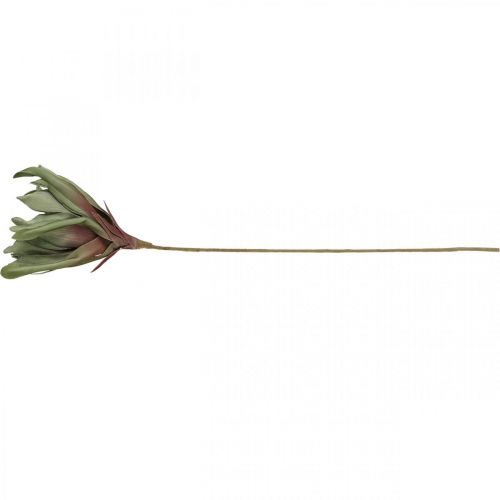 Floristik24 Deco flor de lótus artificial flor de lótus artificial flor verde L70cm