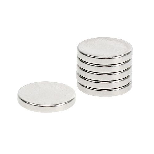 Floristik24 Imãs Decorativos Ø1.3cm 6pcs