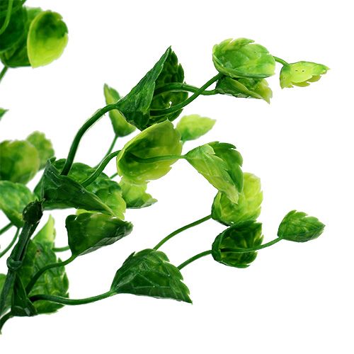 Floristik24 Raminho de menta verde L74cm 6pcs