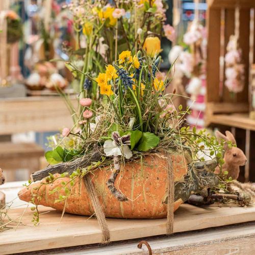 Itens Cenoura decorativa, decoração de concreto para plantio, Páscoa, vaso de cenoura, decoração de primavera L28cm