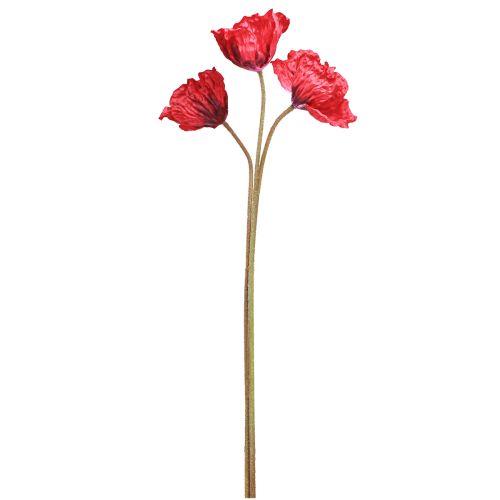 Itens Deco Poppy Grandes Flores Artificiais Papoulas Vermelhas 88cm 3 Unidades