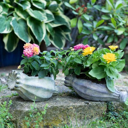 Floristik24 Cápsula de papoula decorativa, plantador de concreto, cachepot, decoração de túmulo L26cm