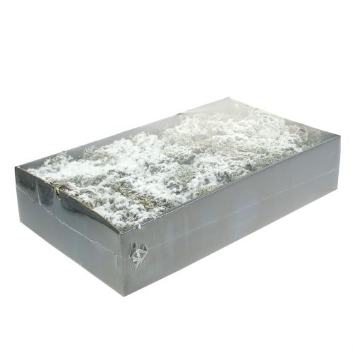 Floristik24 Cinza musgo decorativo coberto de neve 500g