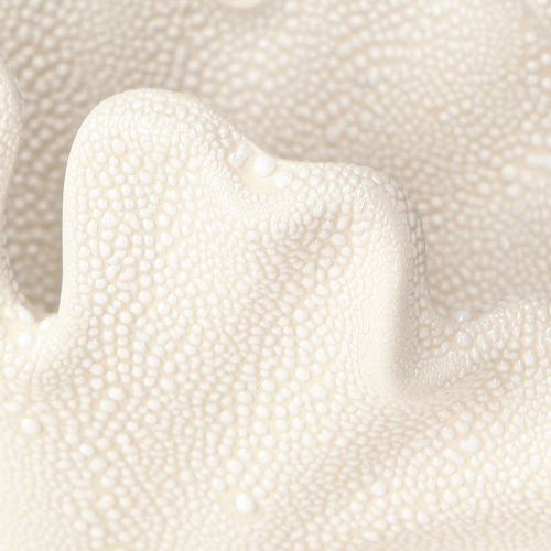 Floristik24 Vaso decorativo concha mini vaso cerâmica creme 14×7,5×9,5cm