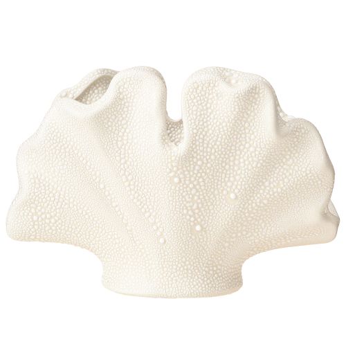 Floristik24 Vaso decorativo concha mini vaso cerâmica creme 14×7,5×9,5cm