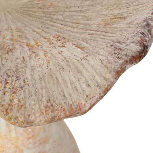 Itens Pedra fundida em forma de cogumelo decorativo decoração de outono cinza lavado 19×15cm H23cm
