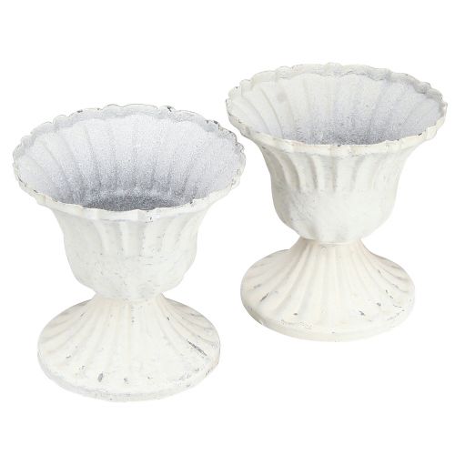 Floristik24 Copo Decorativo Shabby Chic Cálice Branco Ø8cm Alt.8,5cm 2pcs