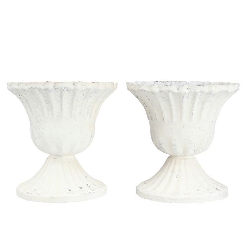 Floristik24 Copo Decorativo Shabby Chic Cálice Branco Ø8cm Alt.8,5cm 2pcs