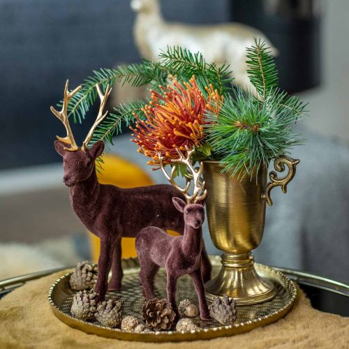 Floristik24 Taça decorativa com asas douradas Ø11cm A17,8cm aspecto antigo