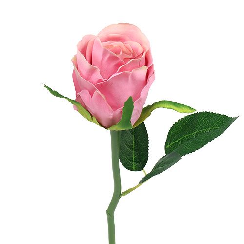 Floristik24 Deco rosa Ø6cm rosa L30cm 6pcs