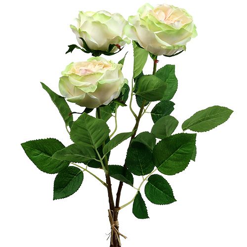 Floristik24 Deco rosa creme-rosa Ø10cm 52cm 3 unidades