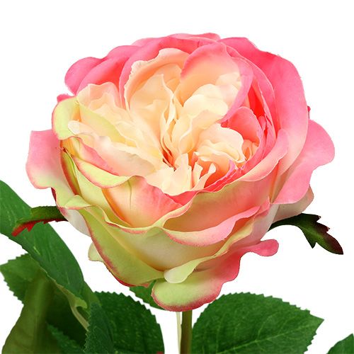 Itens Deco rosa rosa Ø10cm 52cm 3 unidades