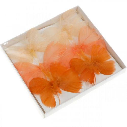 Floristik24 Borboletas em tons de laranja, decoração de primavera Borboletas de penas em fio 6pcs