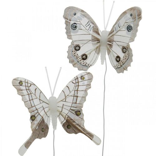 Floristik24 Borboletas decorativas brancas, borboletas de penas marrons em fio 7,5 cm 6 unidades