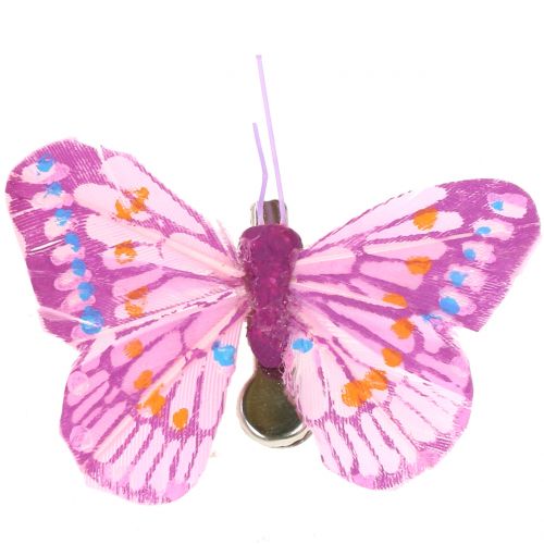 Floristik24 Borboletas decorativas no clipe, cores sortidas 6cm 24pcs