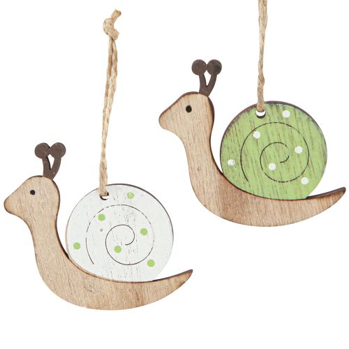 Itens Decoração decorativa em madeira de caracol para pendurar verde natural 6,5 cm 12 peças