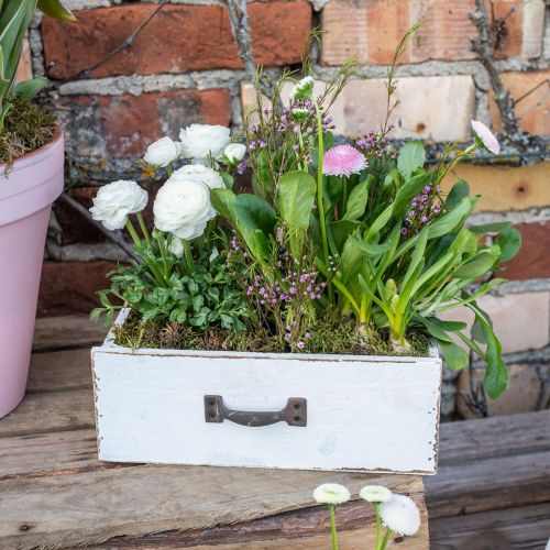 Floristik24 Gaveta decorativa caixa de planta branca madeira look vintage 25×13×8cm