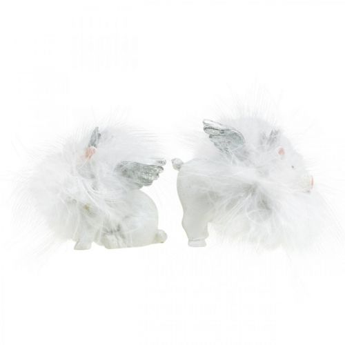 Floristik24 Deco porco com coroa figura porco da sorte branco 7cm 2uds