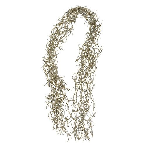 Floristik24 Fio Deco Tillandsia ouro 100cm 10pcs